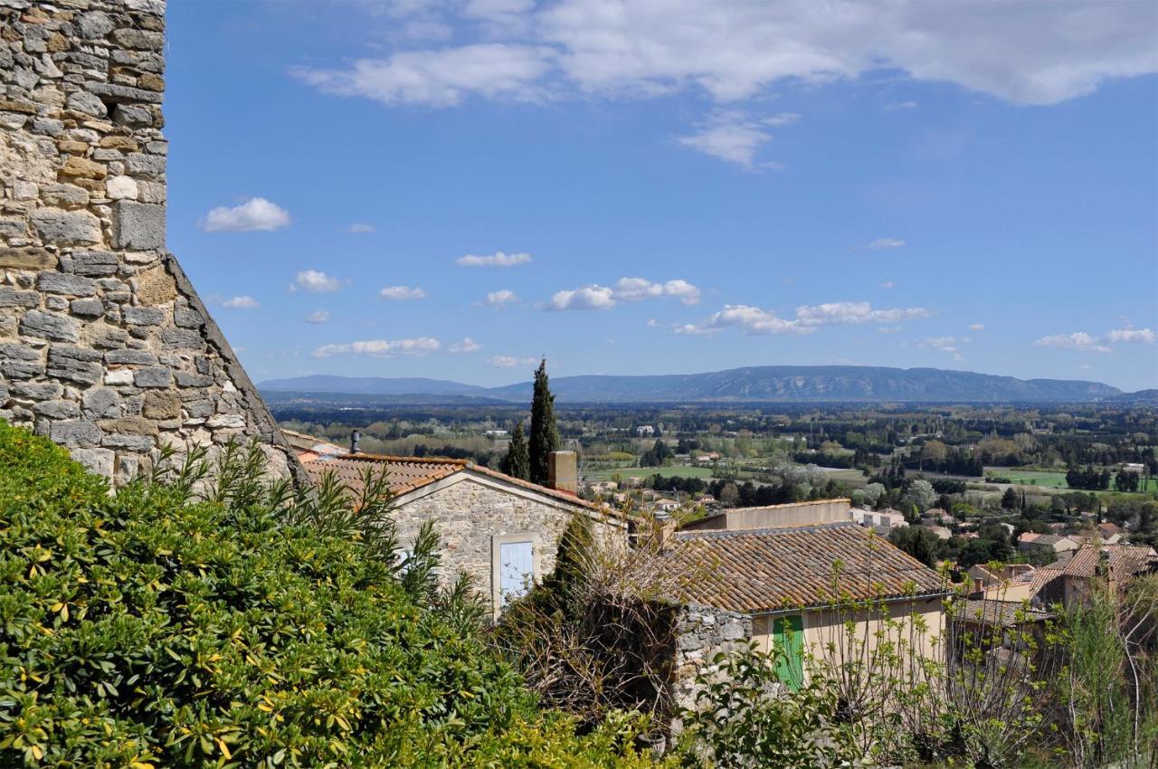 Le Petit Chateau Châteauneuf-de-Gadagne エクステリア 写真