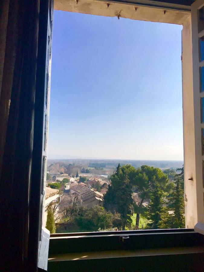 Le Petit Chateau Châteauneuf-de-Gadagne エクステリア 写真