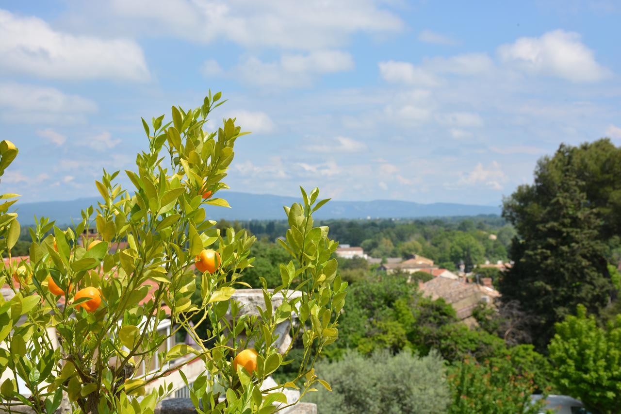 Le Petit Chateau Châteauneuf-de-Gadagne エクステリア 写真